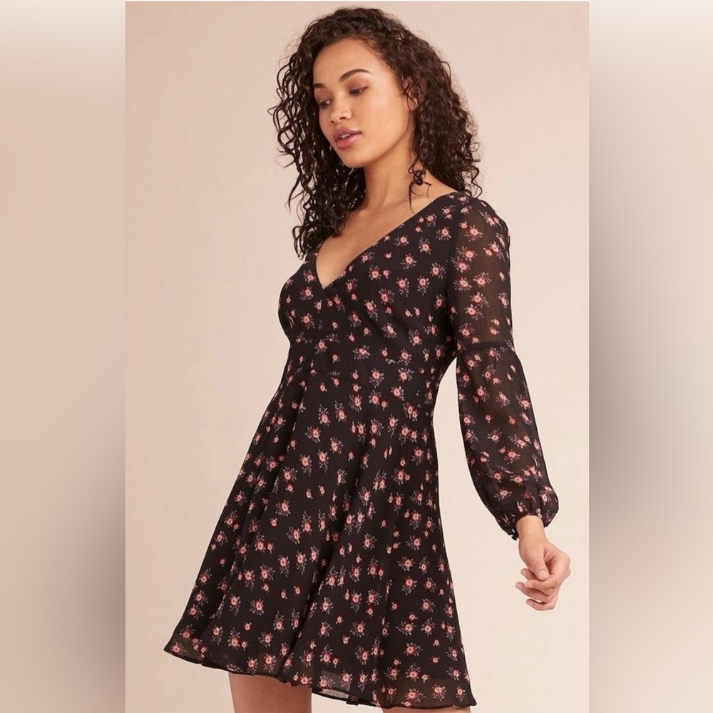 BB Dakota Love In The Afternoon Black Red Floral Mini Dresd